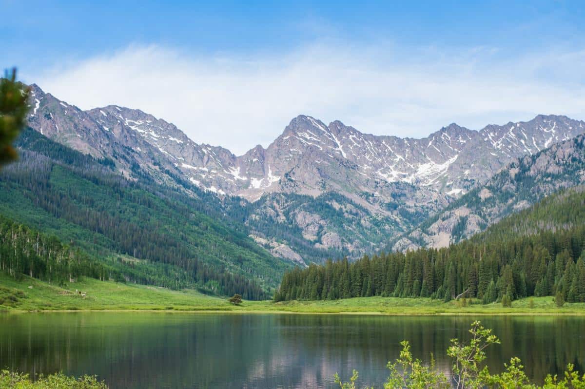 These are the 5 best wildflower hikes in the Vail Valley right now